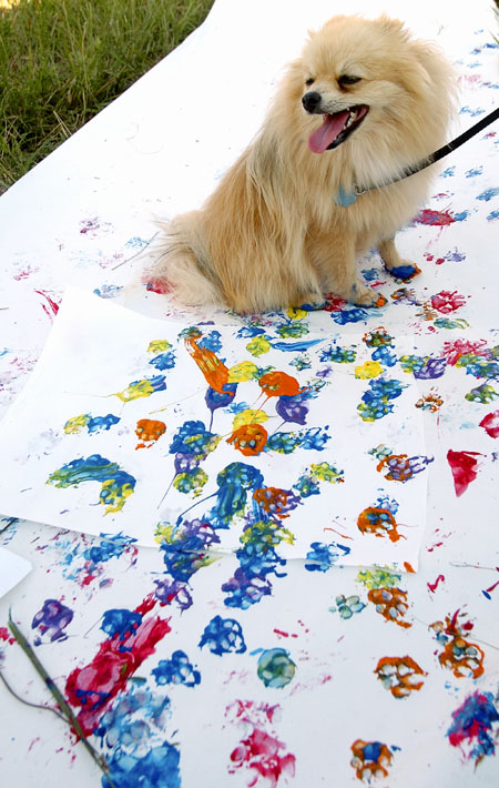 dog paw print painting